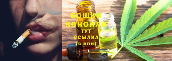 прущий лед Киренск