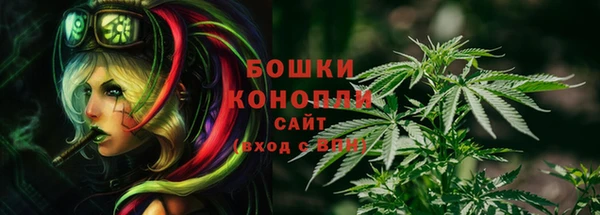 прущий лед Киренск