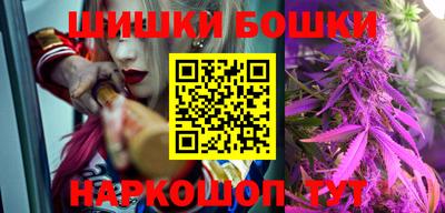 дживик Бийск