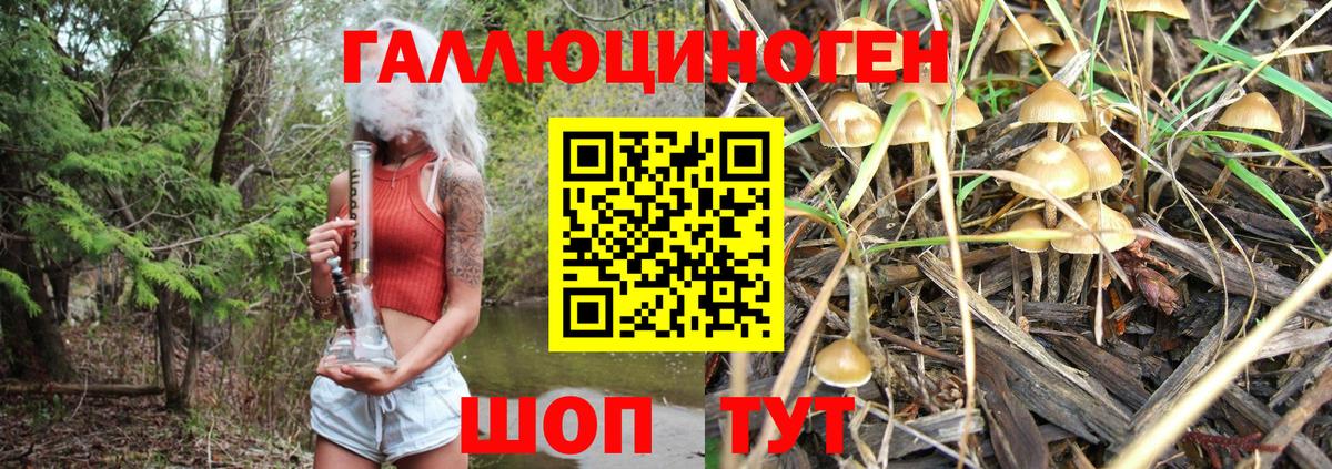 Галлюциногенные грибы мухоморы  Кызыл  Псилоцибиновые грибы мухоморы 