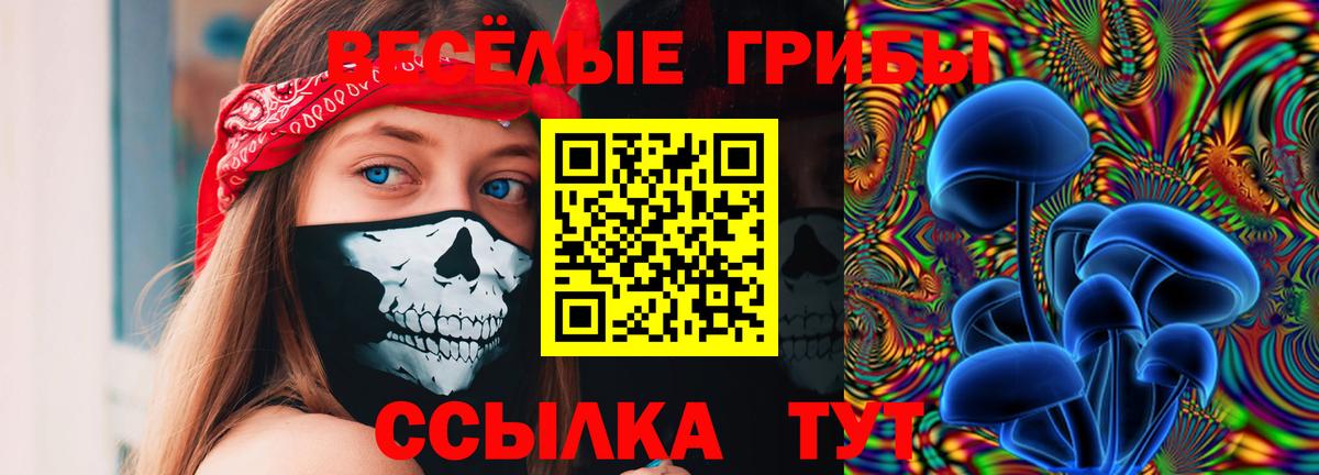 Псилоцибиновые грибы GOLDEN TEACHER  купить   Кызыл  Вход с VPN 