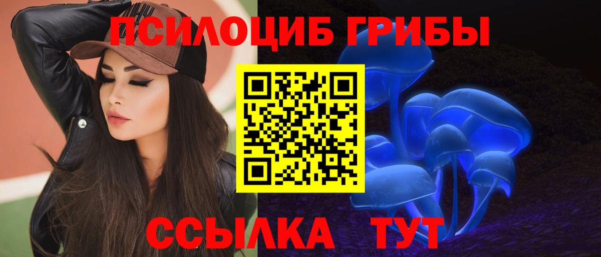 Псилоцибиновые грибы Magic Shrooms Кызыл