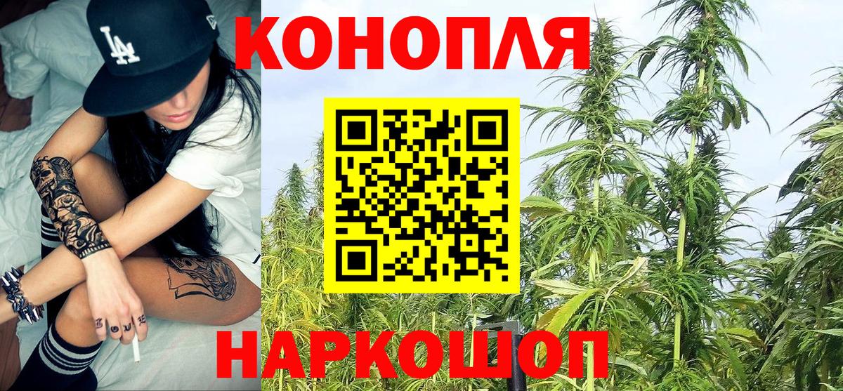 Конопля SATIVA & INDICA  Кызыл  Конопля SATIVA & INDICA  Канабис OG Kush 